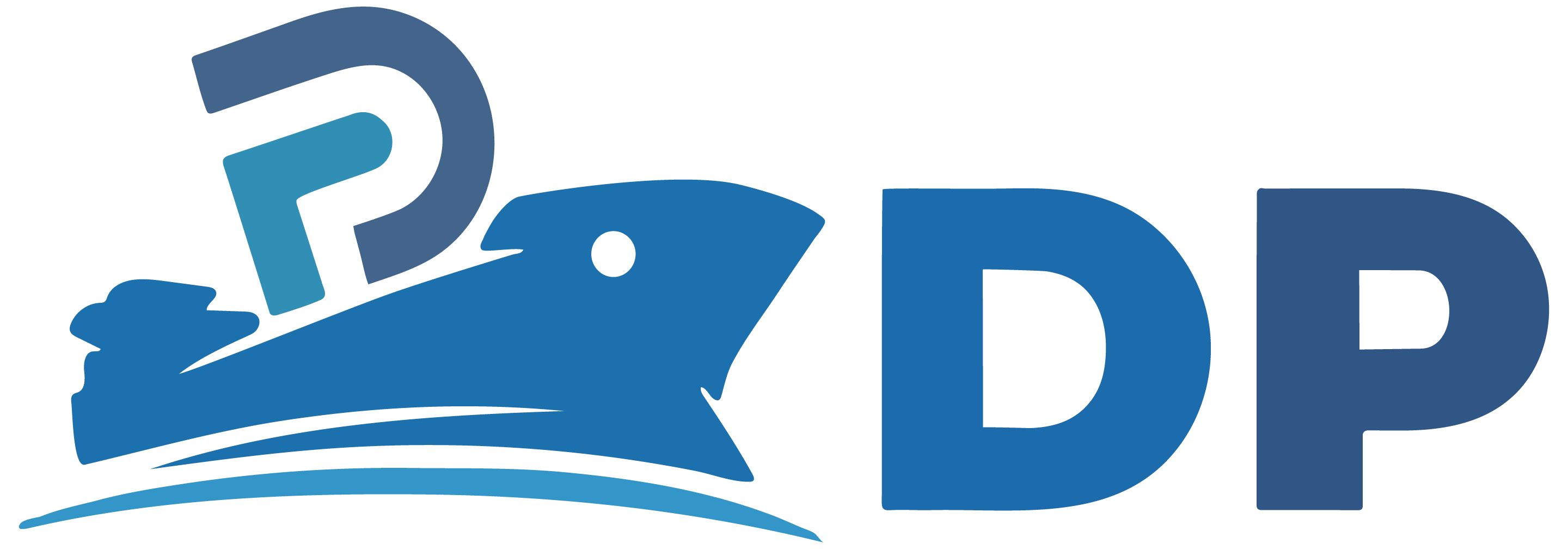 dpmss logo